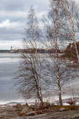 View from the shore of the bay to the ancient city of Vyborg and the port on a cloudy spring day