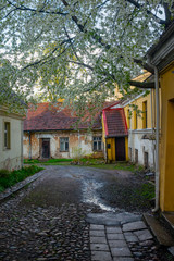 Fototapeta na wymiar Old courtyard with flowering trees in the center of Vilnius.