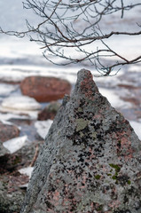 Large stones covered with moss on the shore of a large lake in early spring. Photographed close-up.
