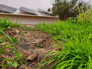 cleaning works in the garden
