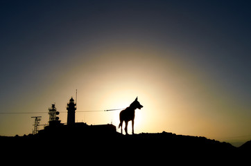Fototapeta na wymiar Black silhouette of a lighthouse and a dog in top of a mountain covering the sun during sunset.