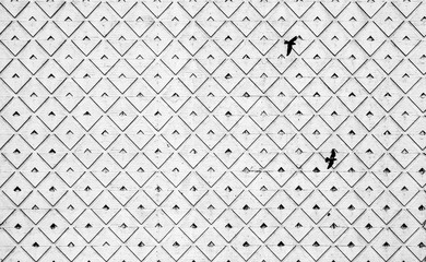 Two birds are flying