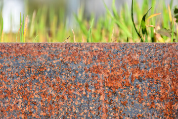 Detail of rusty metal planter with sunlit green grass