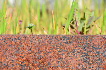 Detail of rusty metal planter with sunlit green grass