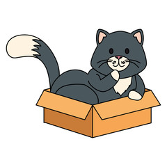 cute little cat in box carton isolated icon vector illustration design