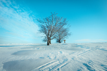 Beskidy Hala Jaworowa © slawek