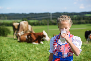  A smiling Bavarian girl drinks milk on the meadow with a cow. Alps on background