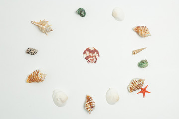 colorful round frame of sea shells flat lay isolated on white background with one shell in center. concept of summer vacation at seashore. circle framing of colourful seashells, red starfish, top view
