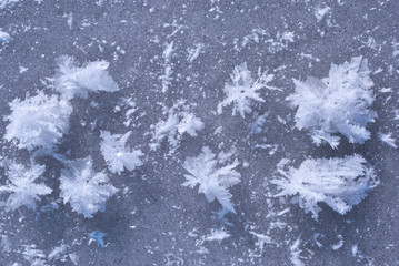 Ice surface with large fluffy snowflakes, natural organic background, top view