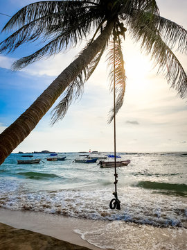 Beautiful Image Of Bungee Swinging On The Palm Tree Bending Over The Ocean Waves