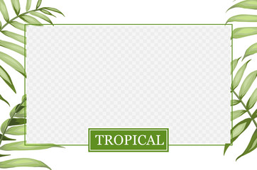 Transparent window with border green palm leaves. Cover design, transparent product package window. Regenerate cream label design with jungle leaf. Template of skincare design over the tropical border