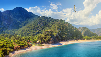 Summer mediterranean coastal landscape - view of the Cirali Olympos Beach, near the Turkish village...