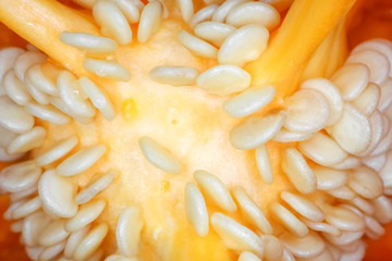 orange bell pepper in the macro section