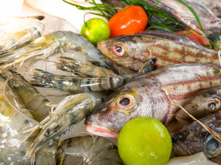 Closeup image of fresh raw seafood lying on the counter at restaurant
