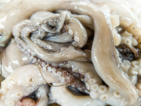 Macro image of slimy raw octopus tentacles