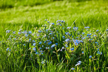 Fototapete bei efototapeten.de bestellen   