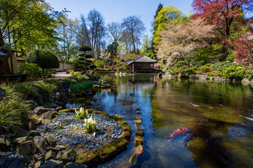 Fototapeta na wymiar Idyllic sunny day at Japanese garden in Kaiserslautern.