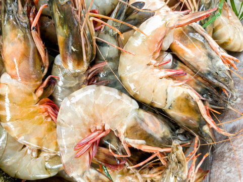 Closeup image of ocean jumbo prawns on the counter at seafood restaurant