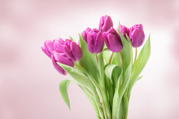 Fototapeta premium Bouquet of pink tulips on defocused background