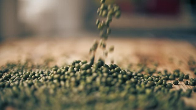 Pouring green lentils on wooden table, slow motion close-up shot