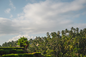 Blue sky being covered with thick clouds