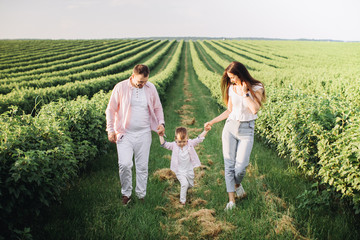 Happy family posing on a green field