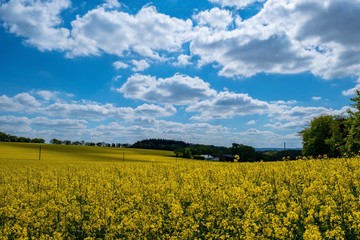 Natur pur