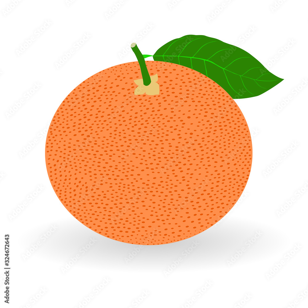 Poster vector realistic grapefruit icon with shadow isolated on white background. fresh and juicy grapefrui
