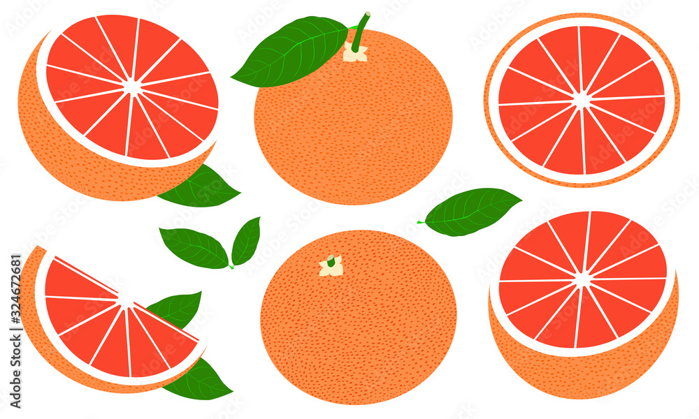 Poster vector grapefruit set isolated on white background. fresh and juicy whole grapefruit and slices.
