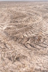 Frozen ground soil with tractor tyre marks on a winter day