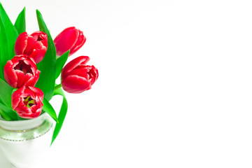 Bouquet of red tulips on a white background. International women day. Holidays. Hello spring