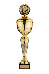 Gold cup for soccer prize