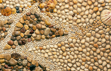Stones, pebbles and shells of different sizes in a pattern