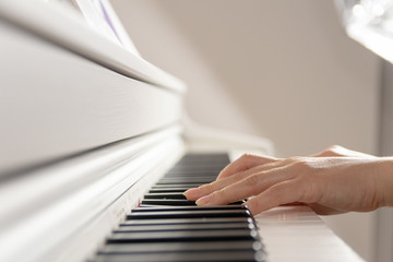 Fototapeta na wymiar Stylish photo, female hands play the piano