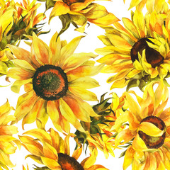 Watercolor seamless pattern with sunflowers on an isolated white background, botanical painting.