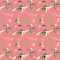 pajaros colores