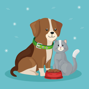 cute dog with cat and dish food vector illustration design