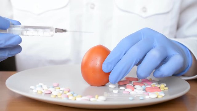Chemist injecting a tomato with pesticides to save market quality of product, stop gmo concept