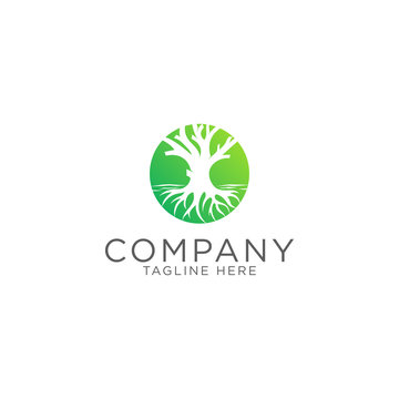 Tree and Roots logo design emblem vector, green organic, gradient circle modern and elegant style design template