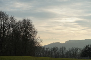 a meadow surrounded by a group of trees in winter with silhouettes of mountains in the background. The sky is covered by cirrus clouds