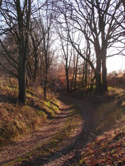 Hohlweg nach Wilschdorf bei Stolpen Sachsen