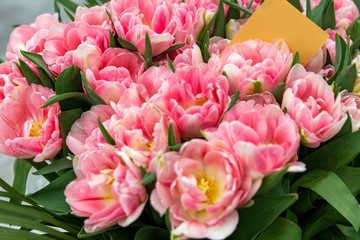 Obraz premium Large bouquet of pink tulips with palm leaves and paper with copy space