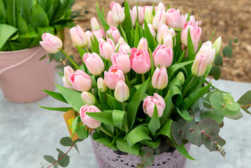 Large bouquet of pink tulips