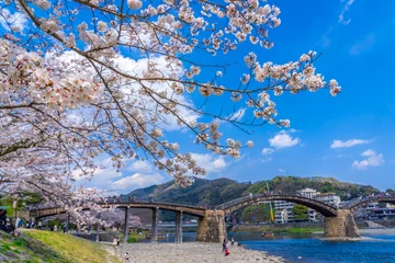 Photo sur Plexiglas Le pont Kintai 桜と錦帯橋