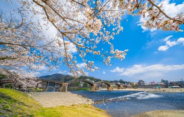 Tableaux ronds sur plexiglas Le pont Kintai 桜と錦帯橋
