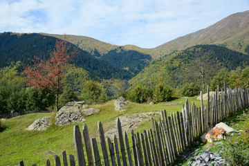 Beautiful mountain and forest view in Mazeri village, Swaneti, Georgia