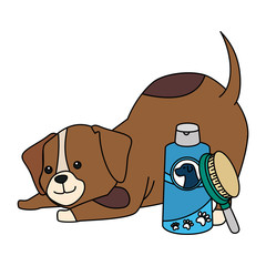 cute dog with bottle for care and brush vector illustration design