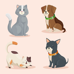 group of cute dogs with cats vector illustration design