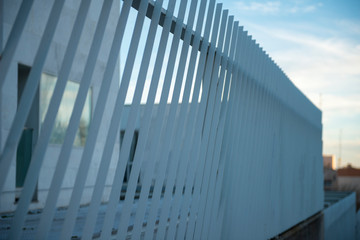 VAYAS VERJAS DE INSTITUTO SEGURIDAD