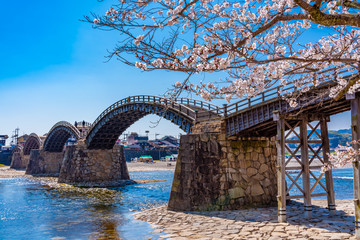 Sakura und Kintaikyo-Brücke